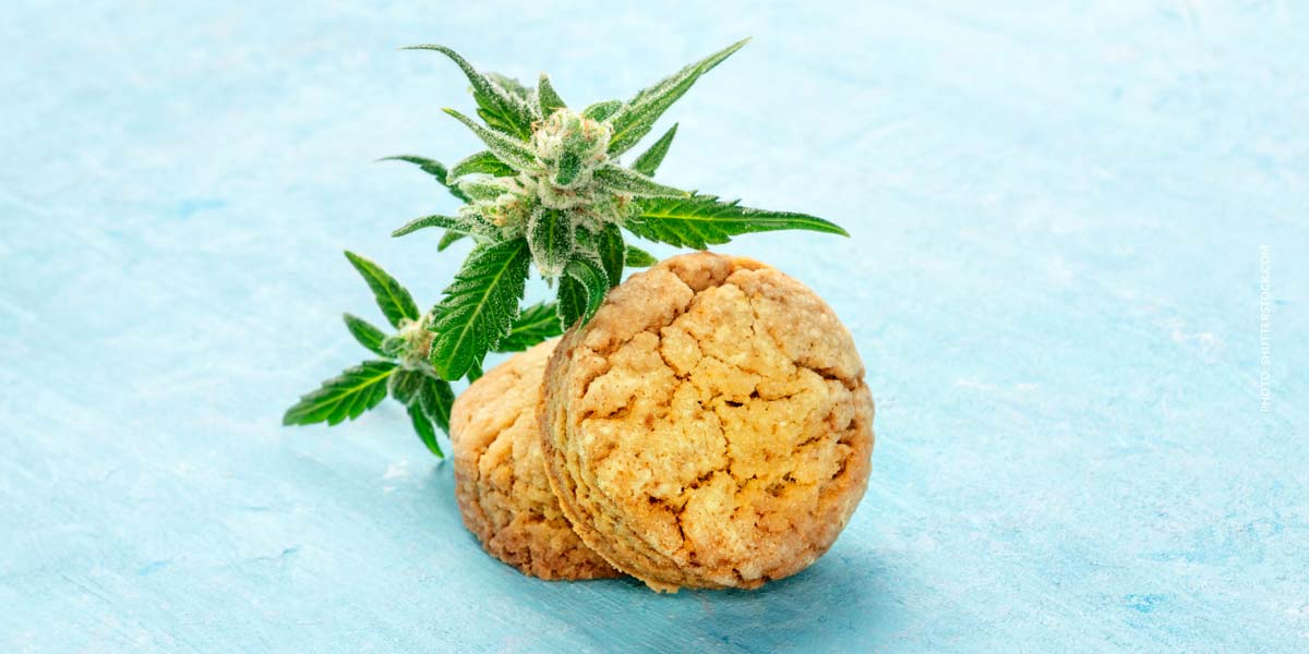 cannabis-hanf-weed-cookies-thc-wirkung-vanille-split
