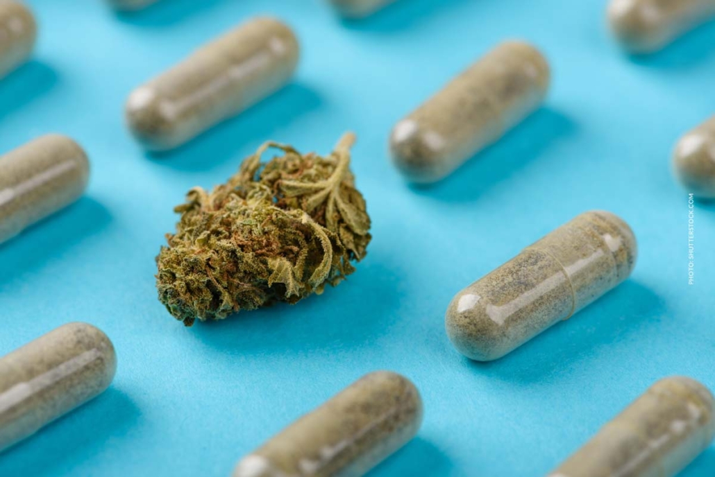 cannabis-hanf-weed-tablette-pillen-form-konzentrat-thc-cbd-mix