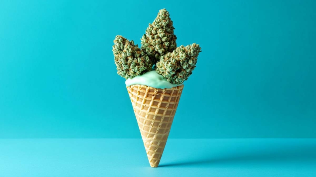 cannabis-sorten-gelato-eiscreme-aroma-shop-weed-thc-waffel-eis-sommer